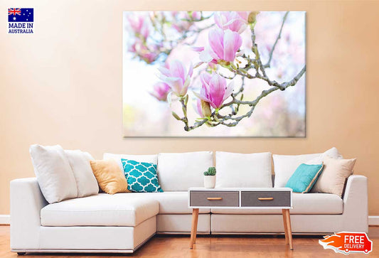 White Pink Magnolia Flowers View Photograph Print 100% Australian Made