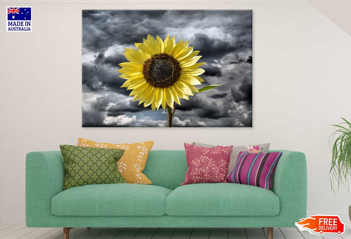 Sunflower Under Dark Cloudy Sky View Photograph Print 100% Australian Made