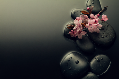 Blossom Flowers On Stones Photograph Home Decor Premium Quality Poster Print Choose Your Sizes