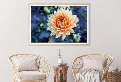 White Orange Dahlia Closeup View Photograph Home Decor Premium Quality Poster Print Choose Your Sizes