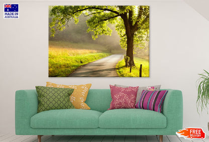 Sunlight Through Tree on a Road Photograph Print 100% Australian Made