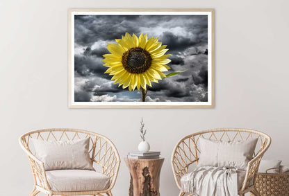 Sunflower Under Dark Cloudy Sky View Photograph Home Decor Premium Quality Poster Print Choose Your Sizes