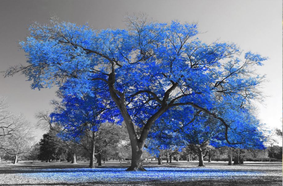 Blue Tree Artistic Nature Print 100% Australian Made