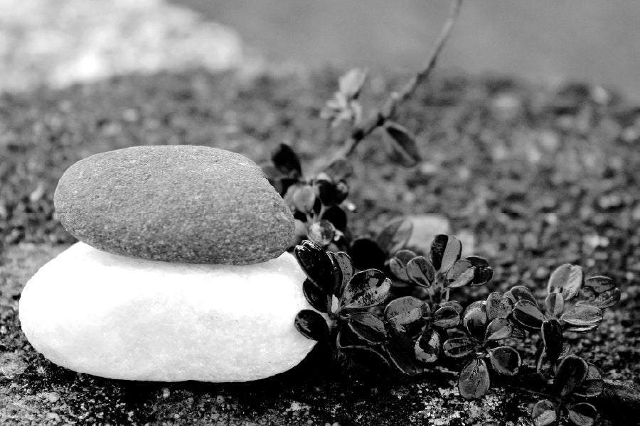 White Stones & Black Flowers B&W View Photograph Print 100% Australian Made