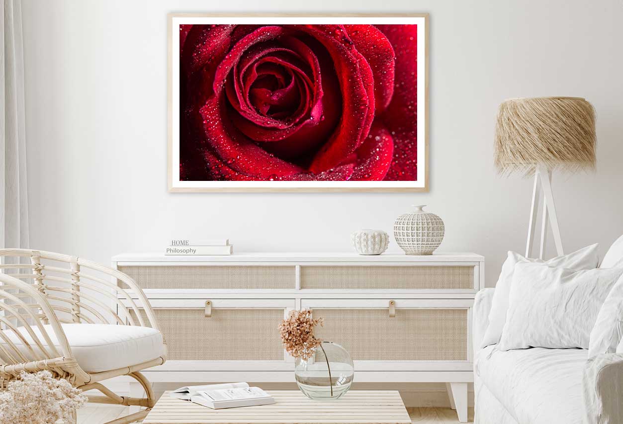 Water Droplet on Red Rose View Photograph Home Decor Premium Quality Poster Print Choose Your Sizes