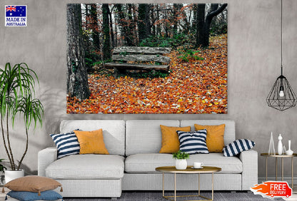 Wood Bench in Autumn Forest Print 100% Australian Made