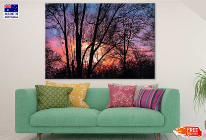 Birds on Tree Sunset Photograph Print 100% Australian Made