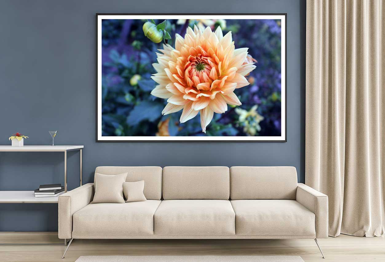 White Orange Dahlia Closeup View Photograph Home Decor Premium Quality Poster Print Choose Your Sizes