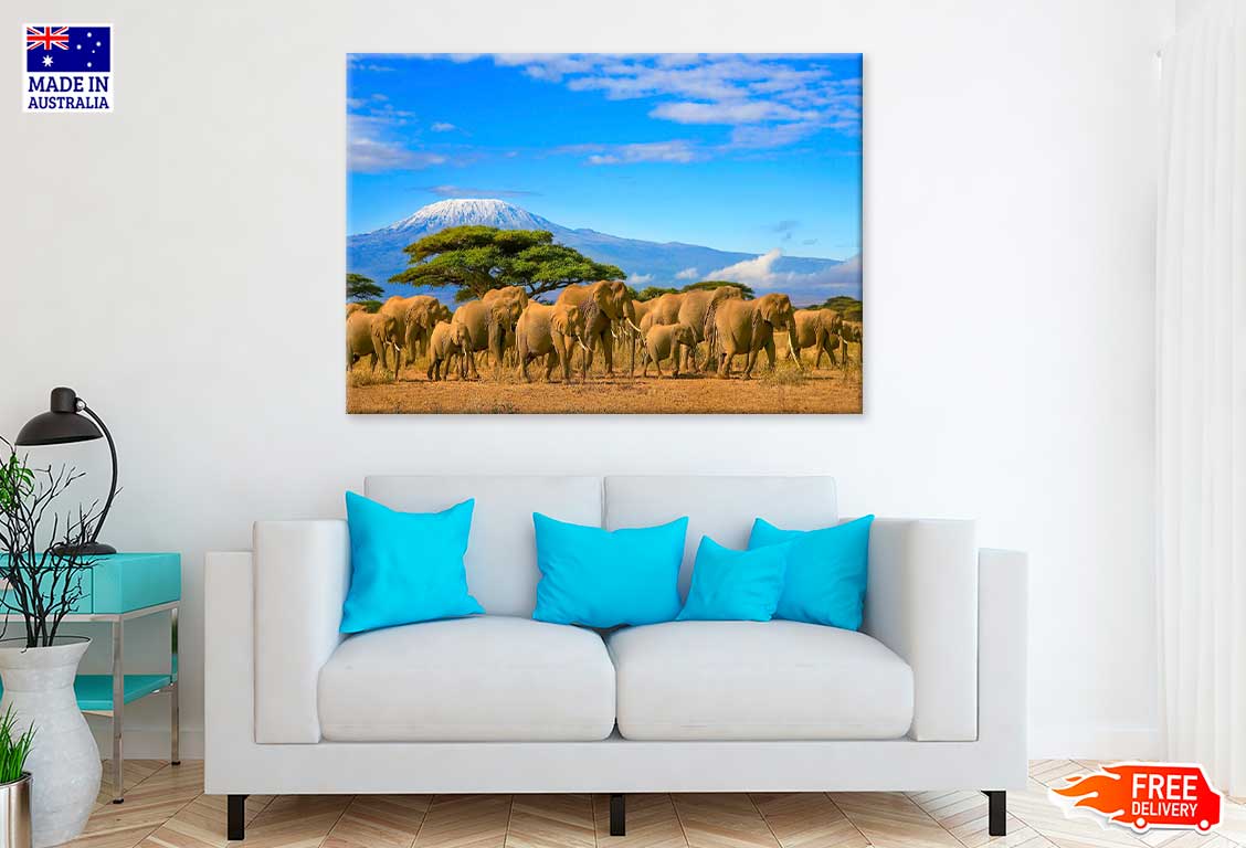 Kilimanjaro Elephants Walking Photograph Print 100% Australian Made