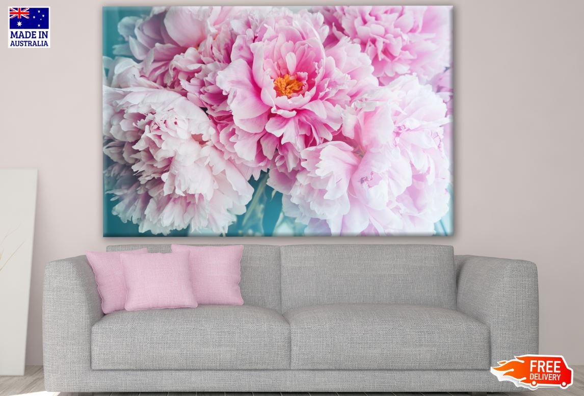 Peony Flowers Closeup Photograph Print 100% Australian Made