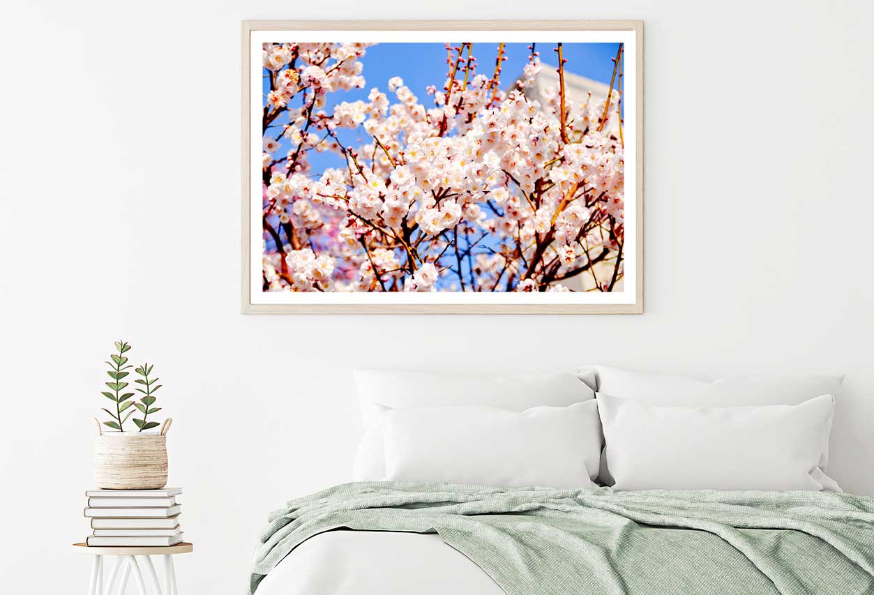 White Pink Cherry Flower Branch Photograph Home Decor Premium Quality Poster Print Choose Your Sizes