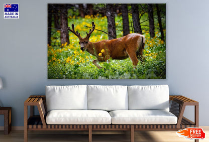 Elk in Forest Closeup Photograph Print 100% Australian Made