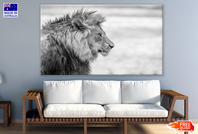 Lion Face B&WPhotograph Print 100% Australian Made