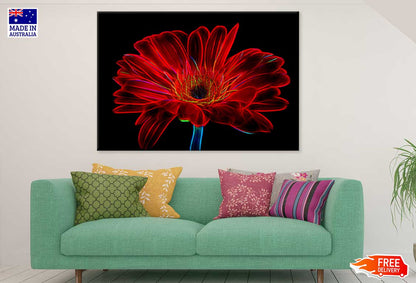 Red Daisy Closeup Digital Art Print 100% Australian Made