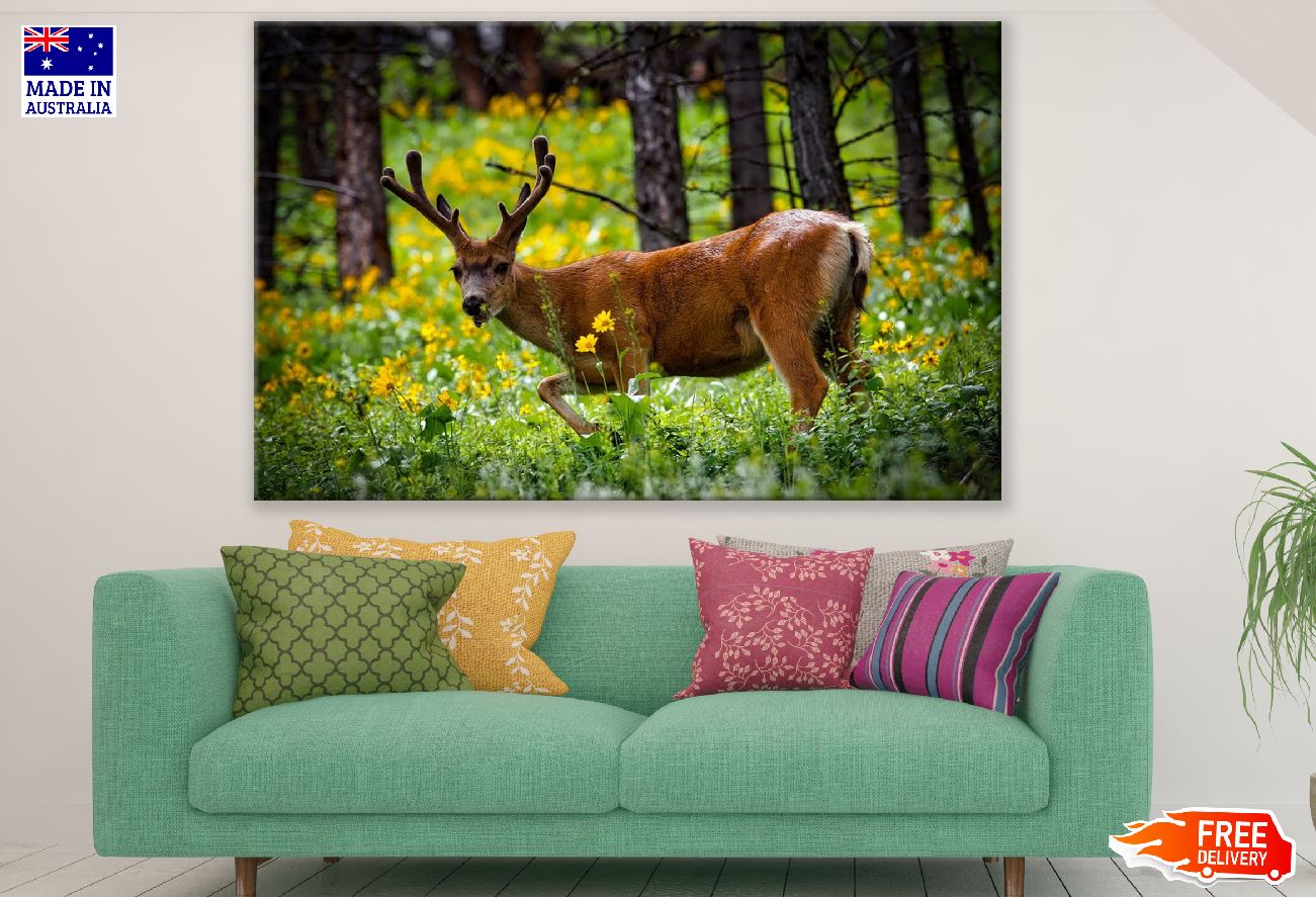 Elk in Forest Closeup Photograph Print 100% Australian Made