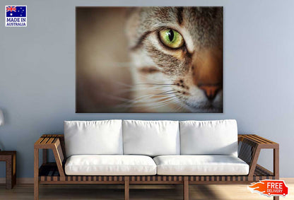 Cat Yellow Eye Closeup Photograph Print 100% Australian Made