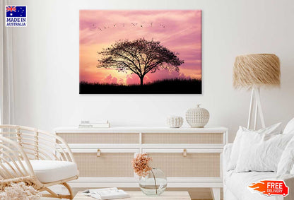 Alone Tree on Field Pink Sky Scenery Photograph Print 100% Australian Made