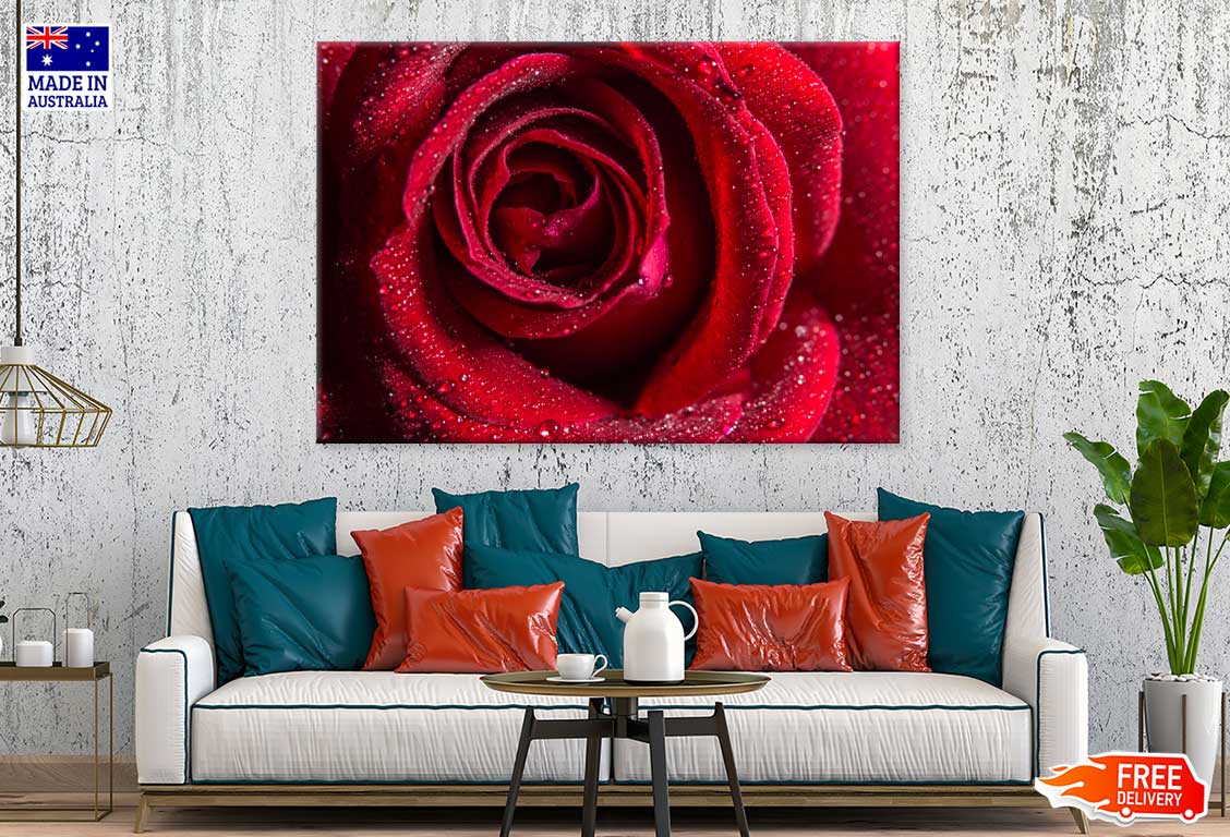 Water Droplet on Red Rose View Photograph Print 100% Australian Made