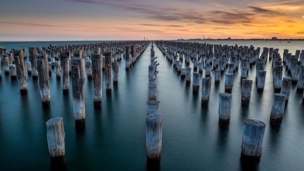 Wooden Pylons in Beach Print 100% Australian Made