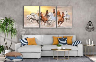 3 Set of Running Horses Photograph High Quality Print 100% Australian Made Wall Canvas Ready to Hang