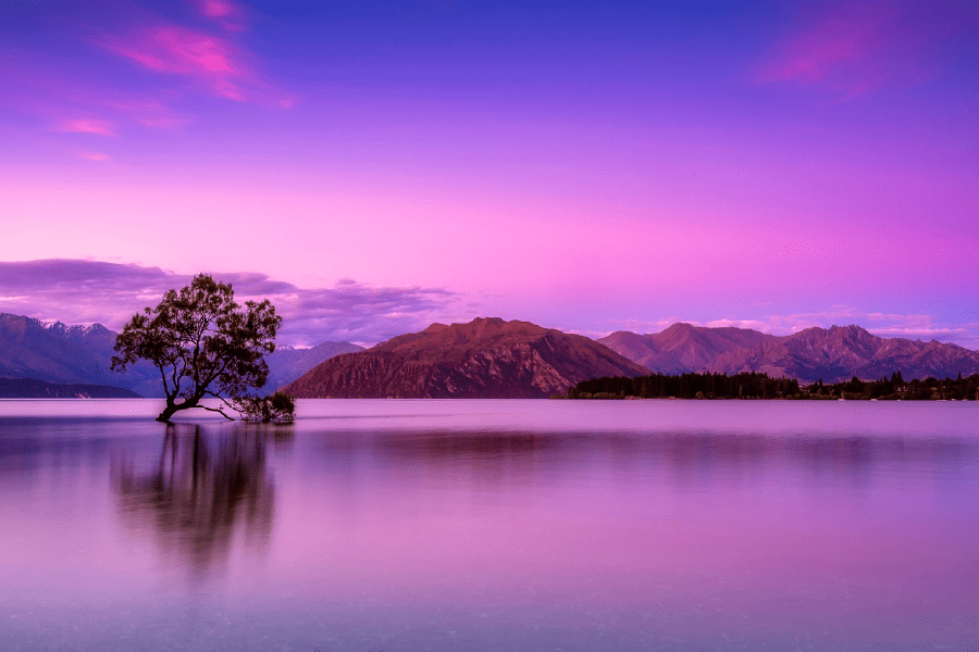 Tree & Sunset Over Mountains Photograph Print 100% Australian Made