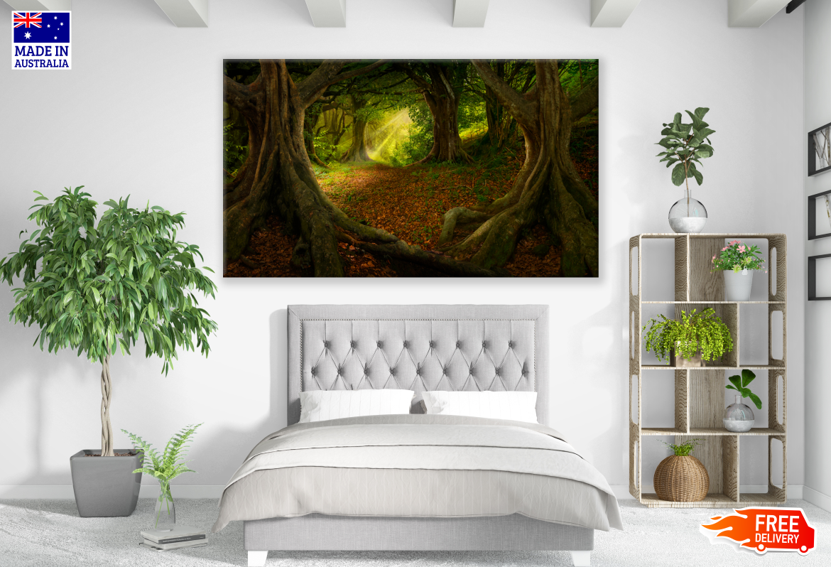 Deep Forest Huge Trees Photograph Print 100% Australian Made