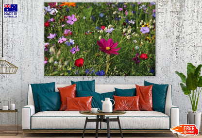 Wild Flowers Field Photograph Print 100% Australian Made