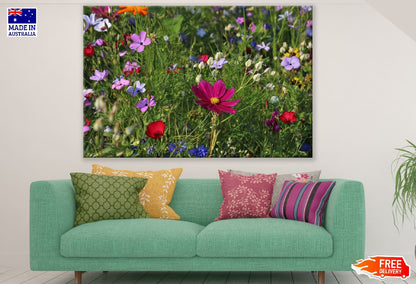 Wild Flowers Field Photograph Print 100% Australian Made