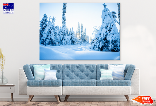 Snow Coverd Trees View Photograph Print 100% Australian Made