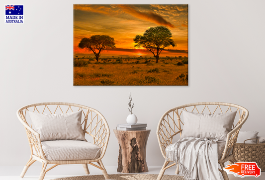 Plant & Trees Sunset Scenery View Print 100% Australian Made