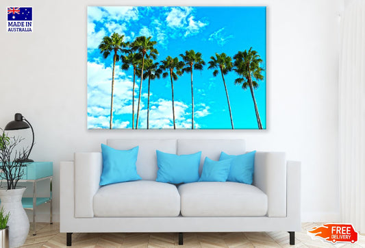 Palm Trees Under Blue Sky Photograph Print 100% Australian Made