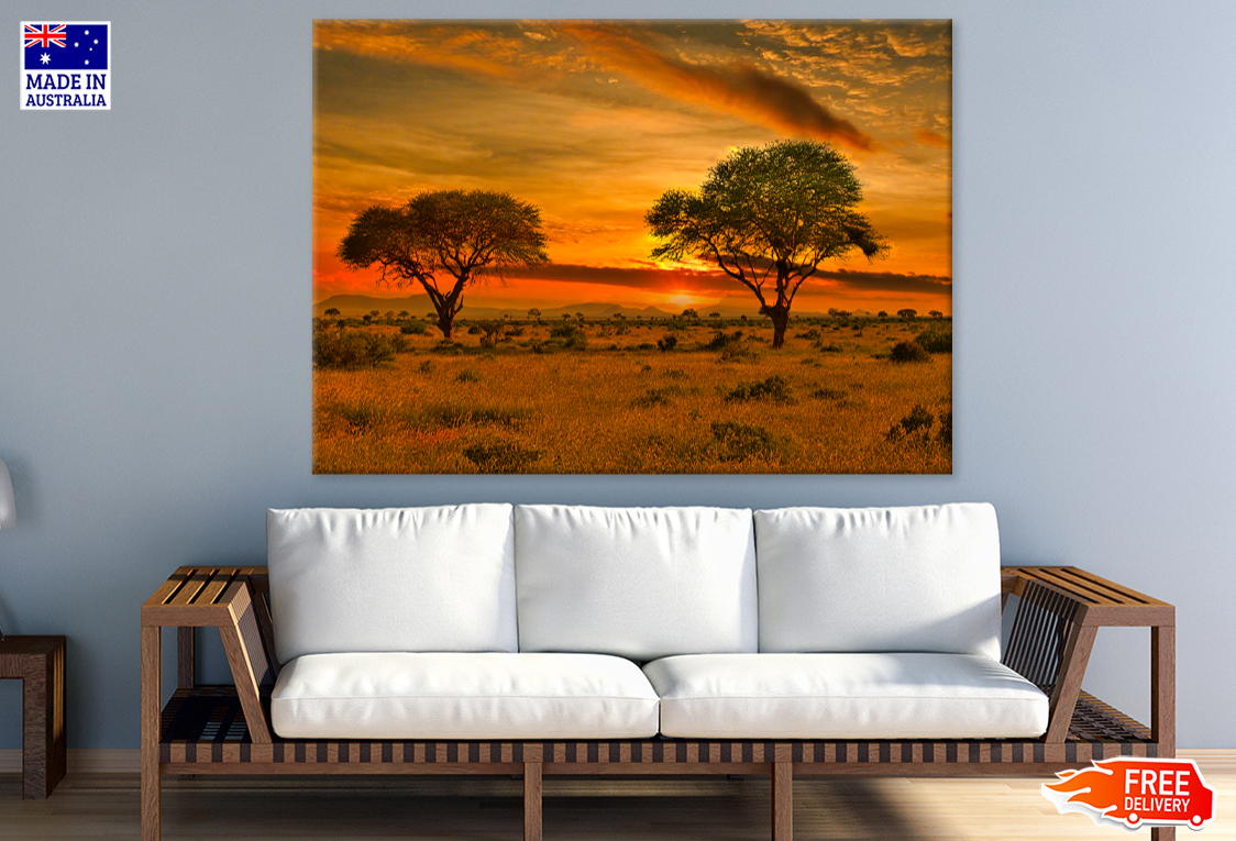 Plant & Trees Sunset Scenery View Print 100% Australian Made