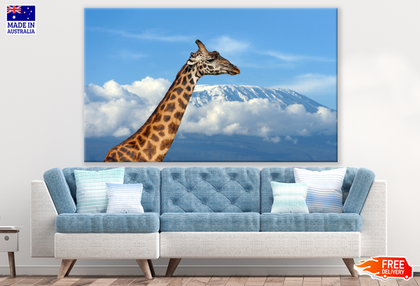 Giraffe Portrait with Mountain View Photograph Print 100% Australian Made
