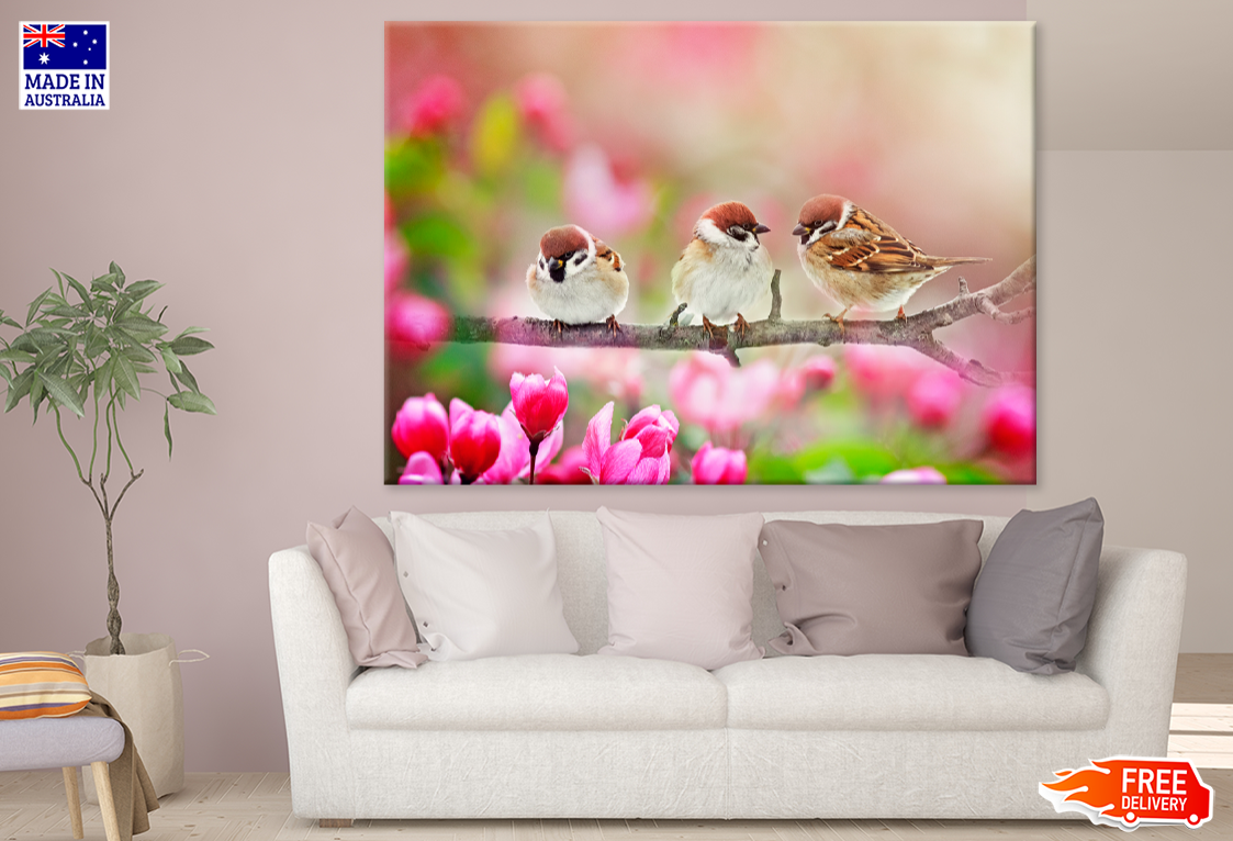 Spring Birds & Flowers Photograph View Print 100% Australian Made