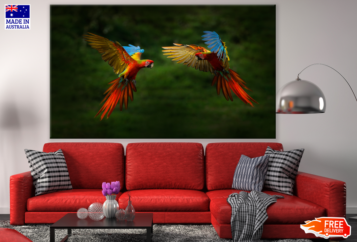 Two Macaw Birds Flying Photograph Print 100% Australian Made