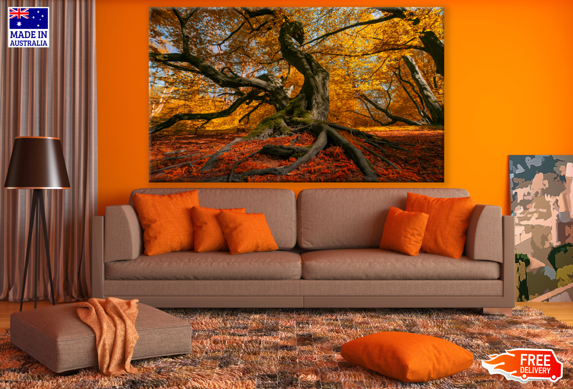 Autumn Tree Forest Photograph Print 100% Australian Made