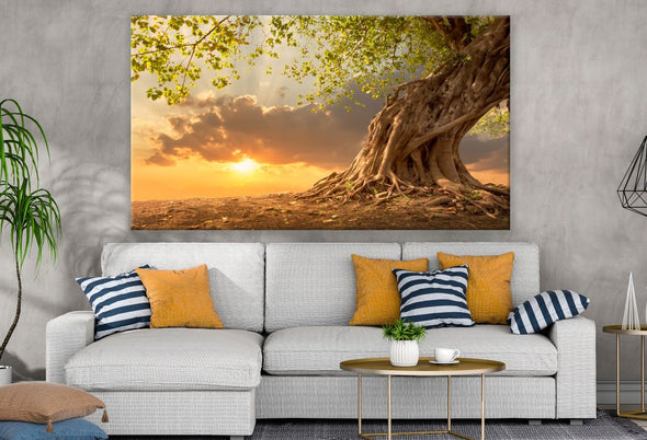 Single Tree Sunset Scenery Print 100% Australian Made