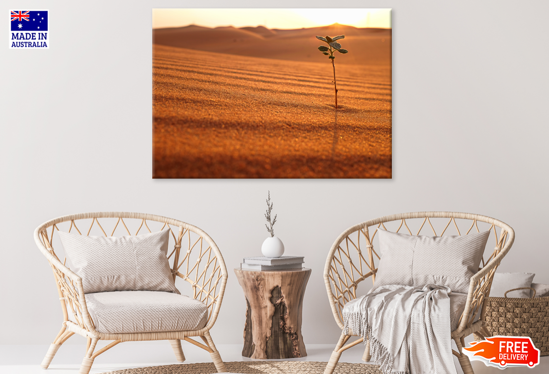 Desert & Plant Closeup Photography View Print 100% Australian Made