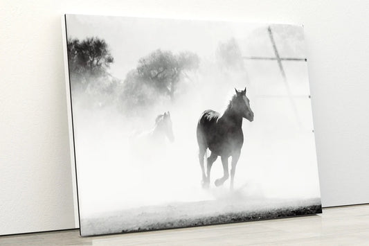 Running Horse Misty Photograph Acrylic Glass Print Tempered Glass Wall Art 100% Made in Australia Ready to Hang