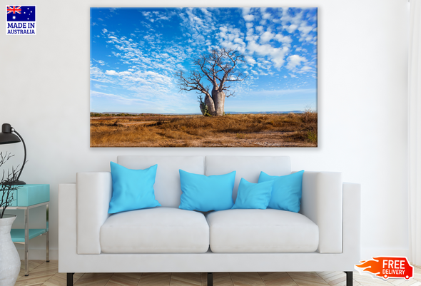 Single Tree in a Grass Field Stunning Sky Photograph Print 100% Australian Made
