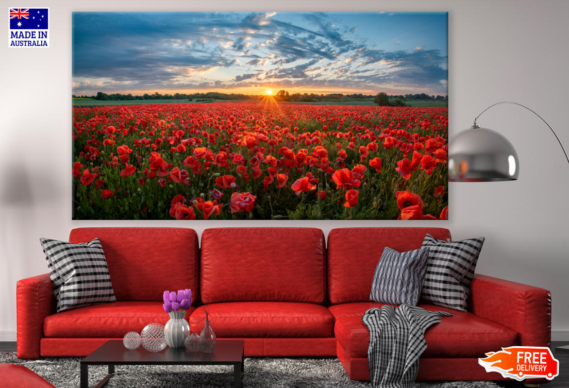 Poppy Field at Sunset Photograph Print 100% Australian Made