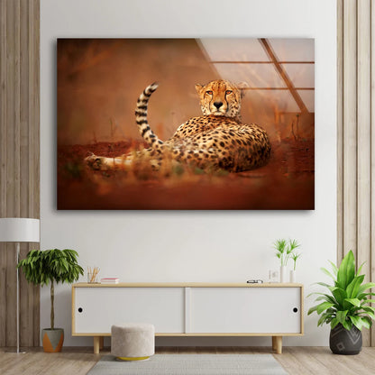 Cheetah Closeup Photograph Acrylic Glass Print Tempered Glass Wall Art 100% Made in Australia Ready to Hang