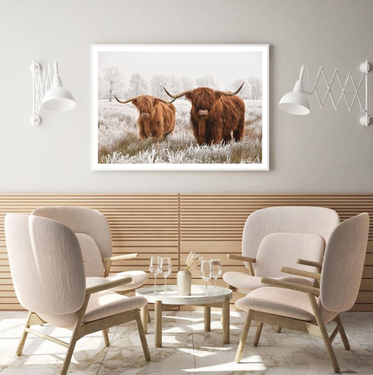 Highland Cows Portrait Photograph Home Decor Premium Quality Poster Print Choose Your Sizes