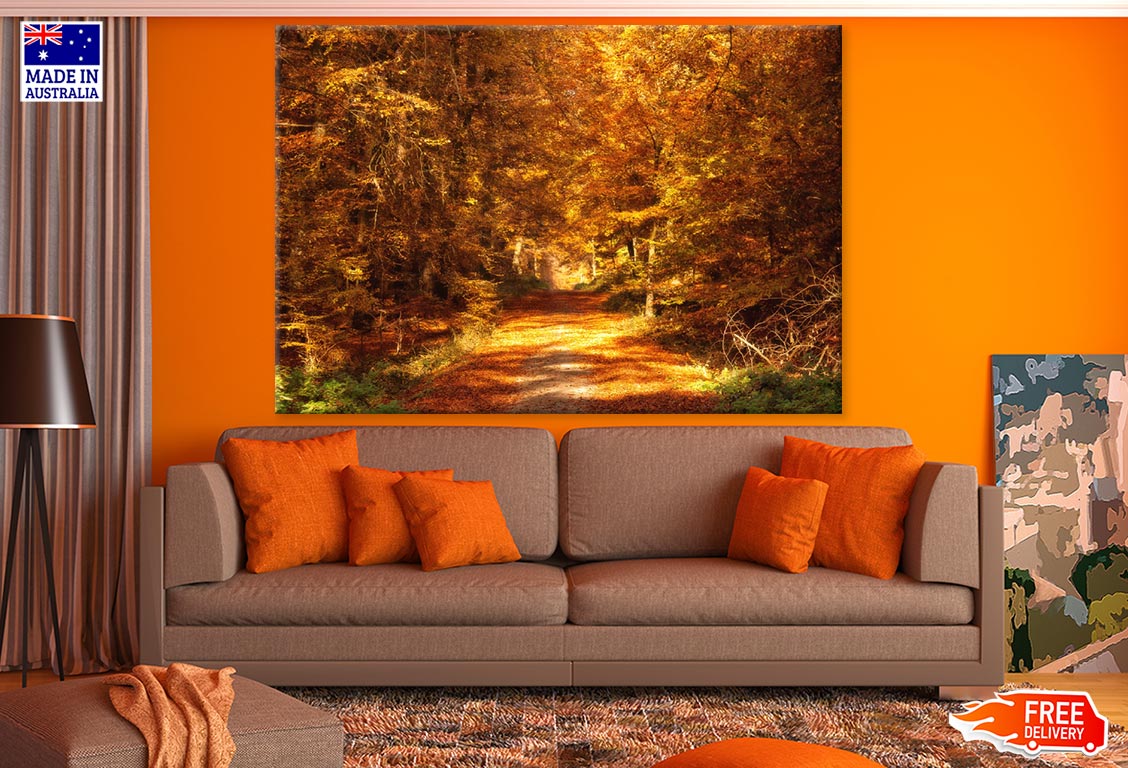 Road in Autumn Forest Photograph Print 100% Australian Made