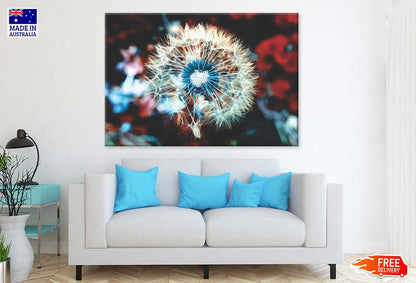 White Blue Dandelion Closeup View Photograph Print 100% Australian Made