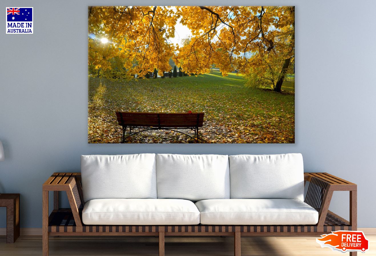 Autumn Tree Garden Near Lake Photograph Print 100% Australian Made