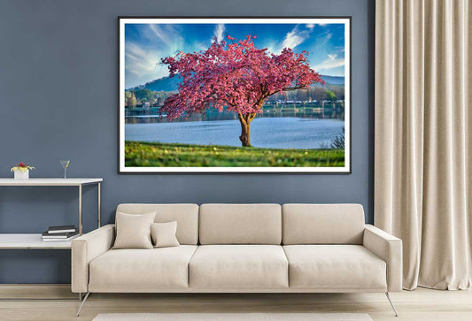 Pink Blossom Tree near Lake View Photograph Home Decor Premium Quality Poster Print Choose Your Sizes