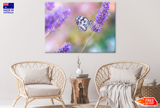 Lavender Flowers & Butterfly Photograph Print 100% Australian Made