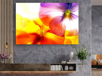 Colorful Flower Closeup Print Tempered Glass Wall Art 100% Made in Australia Ready to Hang