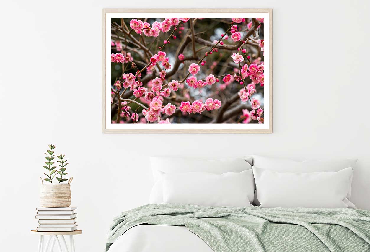 Red Plum Blossom Flower Branch View Photograph Home Decor Premium Quality Poster Print Choose Your Sizes